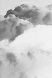 Eva Schlegel_Falling Up