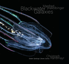 wakolbinger-ransmayr_blackwater galaxies